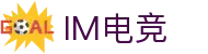 IM(股份有限公司)电竞-电子竞技平台